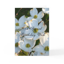 White Dogwood (Raw)