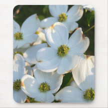 White Dogwood (Raw) Mouse Pads