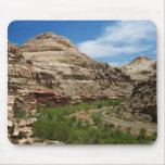 White Domes Mousepads