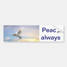 White dove in flight bumper sticker