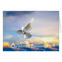 White dove in flight greeting cards