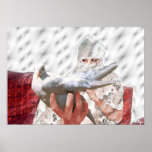 white dove's dream posters