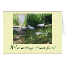 White Ducks on a Ramp Birthday Card