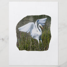 White Egret landing in marsh Personalized Flyer