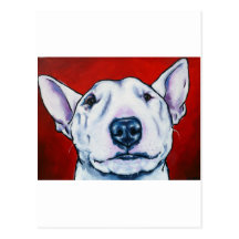 White English Bull Terrier Post Cards