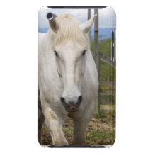 White Equine iTouch Case iPod Touch Case