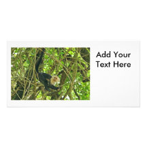 White Faced Monkey in Jungle Photo Greeting Card