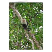 White Faced Monkey Notecard