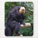 White Faced Saki Monkey Mousepad