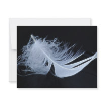 White feather - angelic by nature announcements