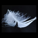 White feather - angelic by nature invitations