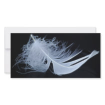 White feather - angelic by nature photo card template