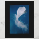 White feather art - symbol of purity and innocence full color flyer