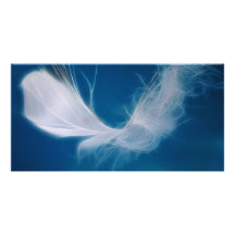 White feather art - symbol of purity and innocence photo card template