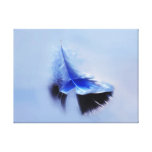 White feather simply sailing stretched canvas prints