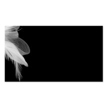 White Feathers Plain Card Business Card Template