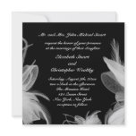 White Feathers Wedding Invitation