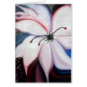 White Floral cards