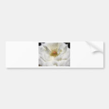 White Flower Bumper Stickers