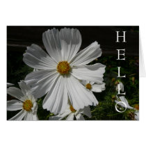 white flower greeting cards