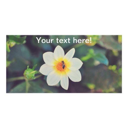 White flower customized photo card