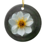 White Flower Dream; No Text Ornament