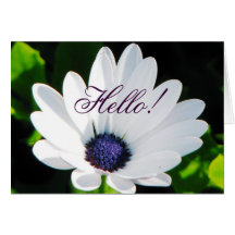White Flower Greeting Card