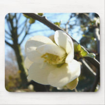White Flower II Mouse Pads