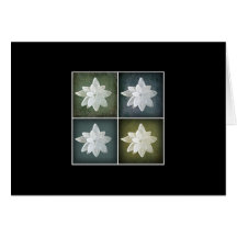 White Flower Mosaic Cards