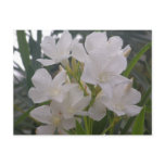 White Flower Postcard