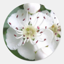 White flower round sticker