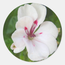 White flower sticker