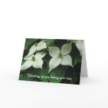 White flower Sympathy cards