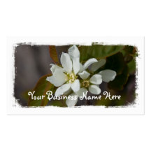 White Flower with Ant; Promotional Business Card Template