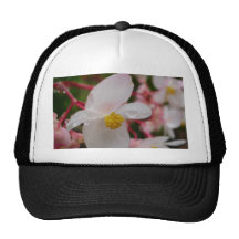 White flower with dew drops mesh hat