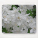 White flowering shrub mousepads