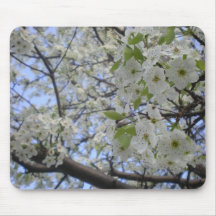 White Flowering Tree Mousepad