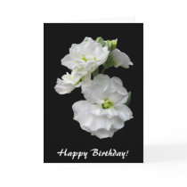 White Flowers Birthday