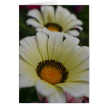 White flowers