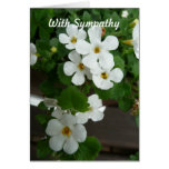 White Flowers Custom Sympathy Card Template