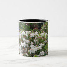 White Flowers in Eureka, CA Coffee Mugs