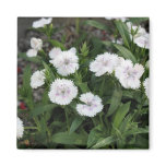white flowers magnets