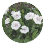 white flowers round stickers