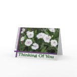 white flowers thinking of you cards