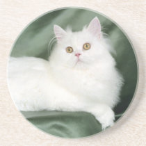 White , Fluffy Cat coasters