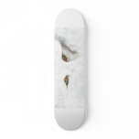 white fox skateboard decks