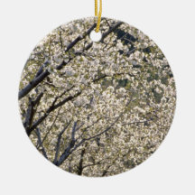 white Fruit trees in bloom, Hood River, Oregon flo Ornaments