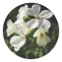White Geraniums 1 - Simple Pleasures Stickers