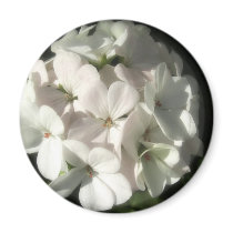 White Geraniums 2 Magnets