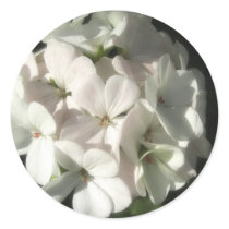 White Geraniums 2 Round Stickers